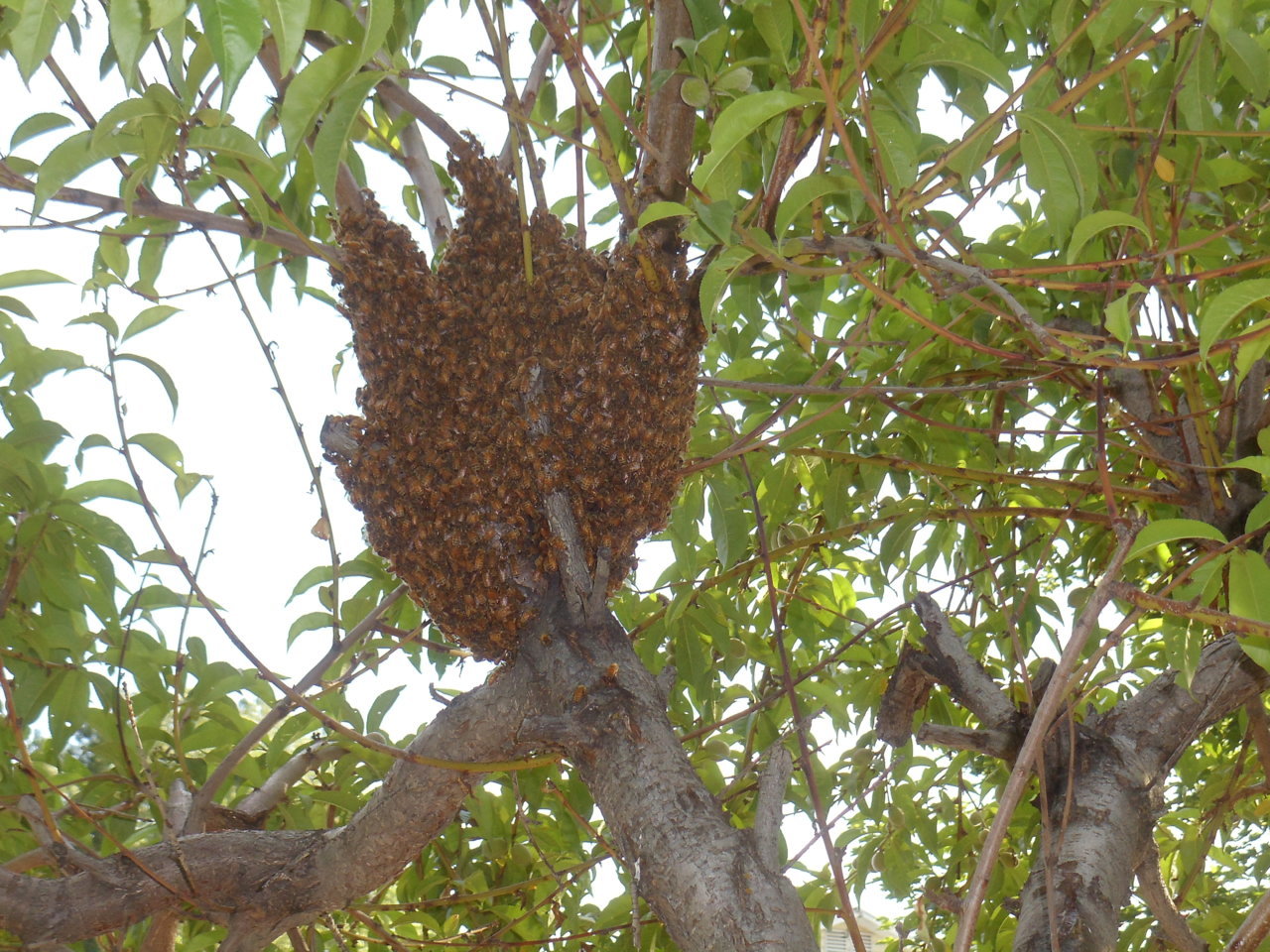 DSC02495.jpg