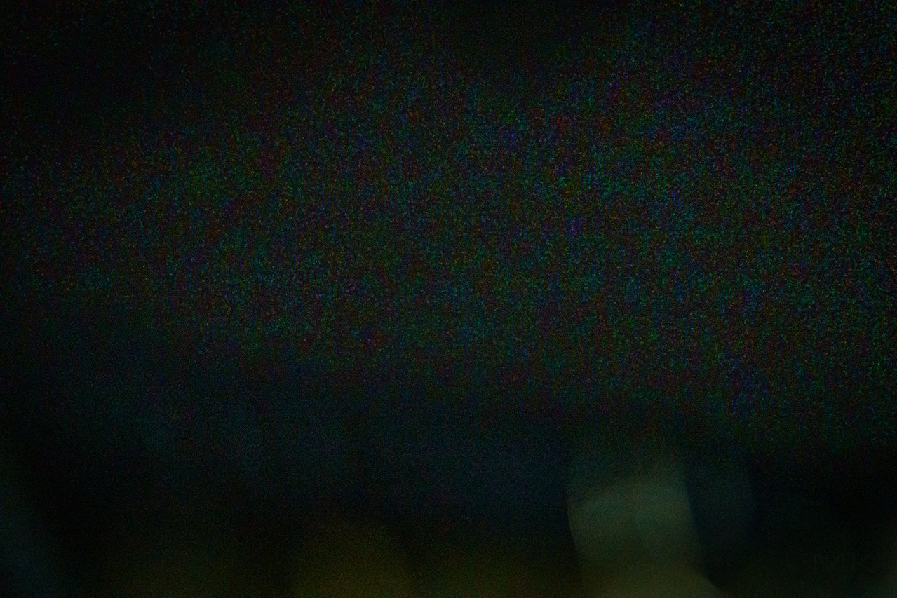 DSC02557s.jpg