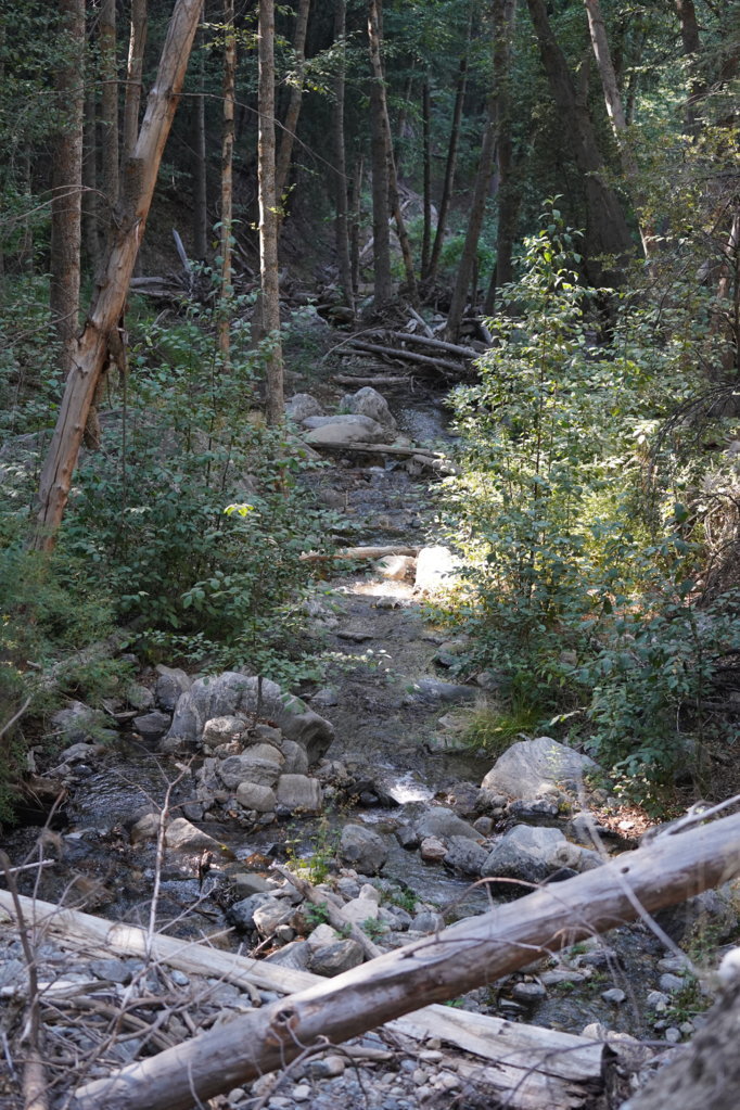 DSC02591.jpg
