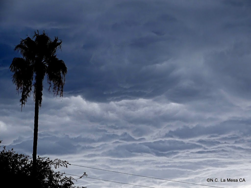 DSC02637_519e730856bc9da6af4c7f6c393d914dde6fea0f.jpg