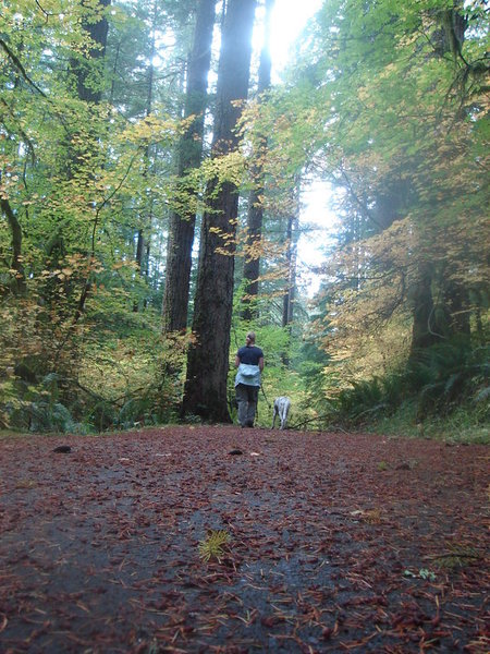 DSC02745.jpg