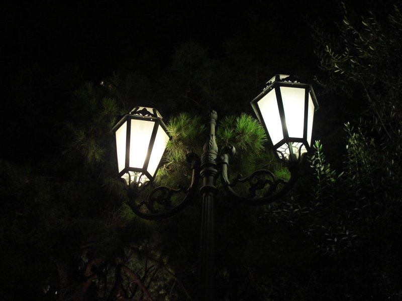 DSC02749.jpg