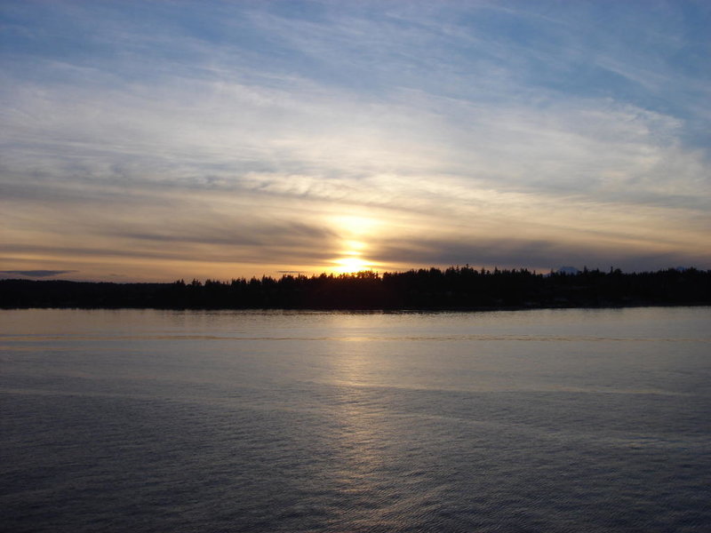 DSC02936.jpg