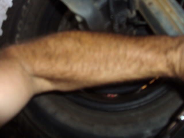 DSC03250_2890b6e53c7abf024083096d3f03e339bd4a1309.jpg
