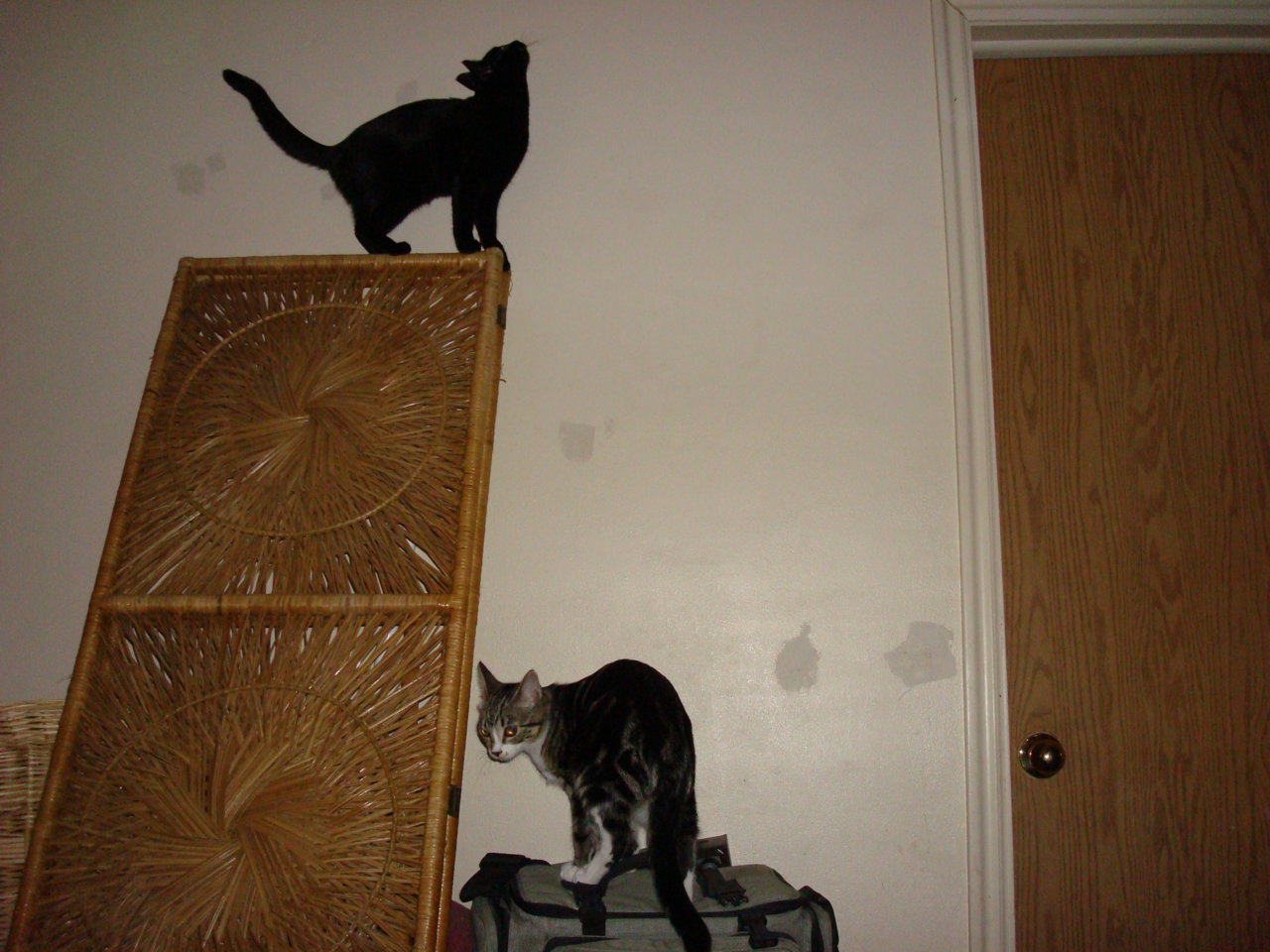DSC03292.jpg