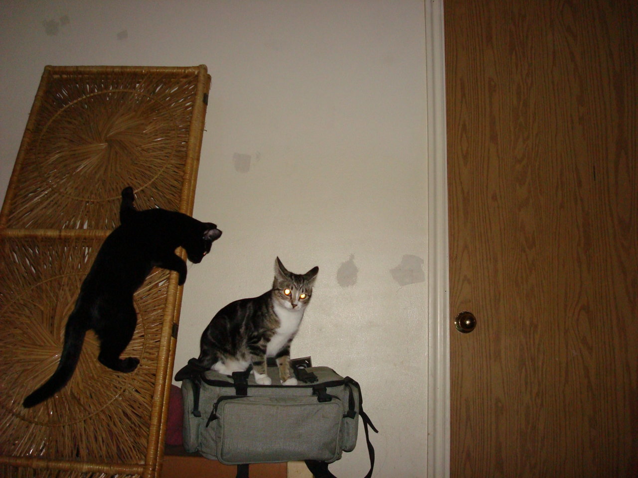 DSC03296.jpg