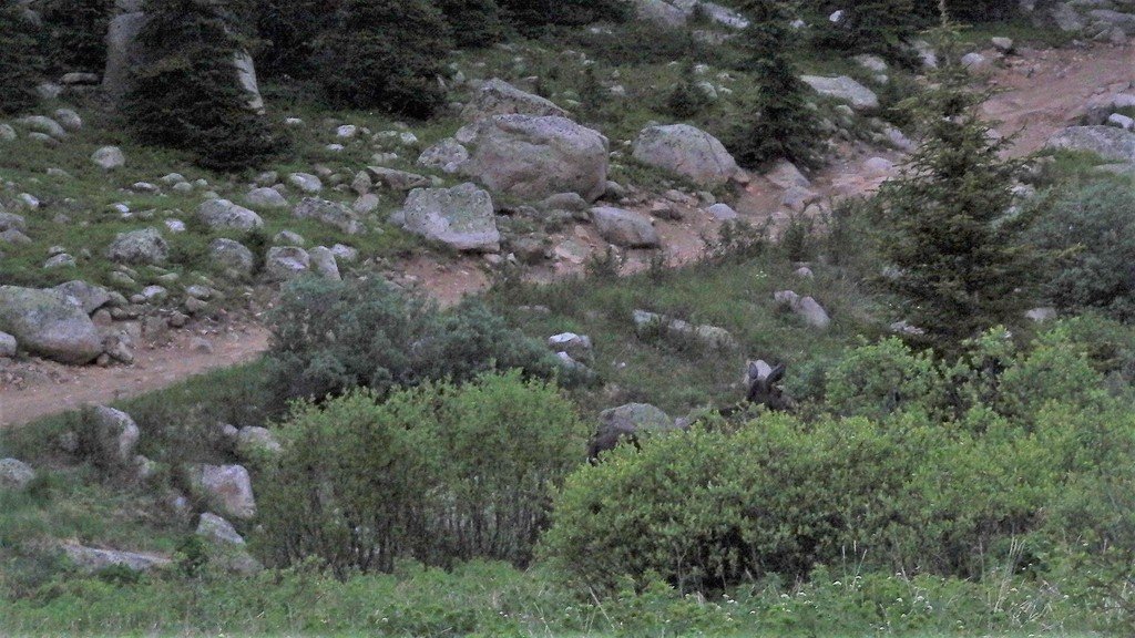 DSC03338_zpsnzdmtfrl_7cdcd9452500f8bb1a890508c0eed2ee8fb2c6d7.jpg