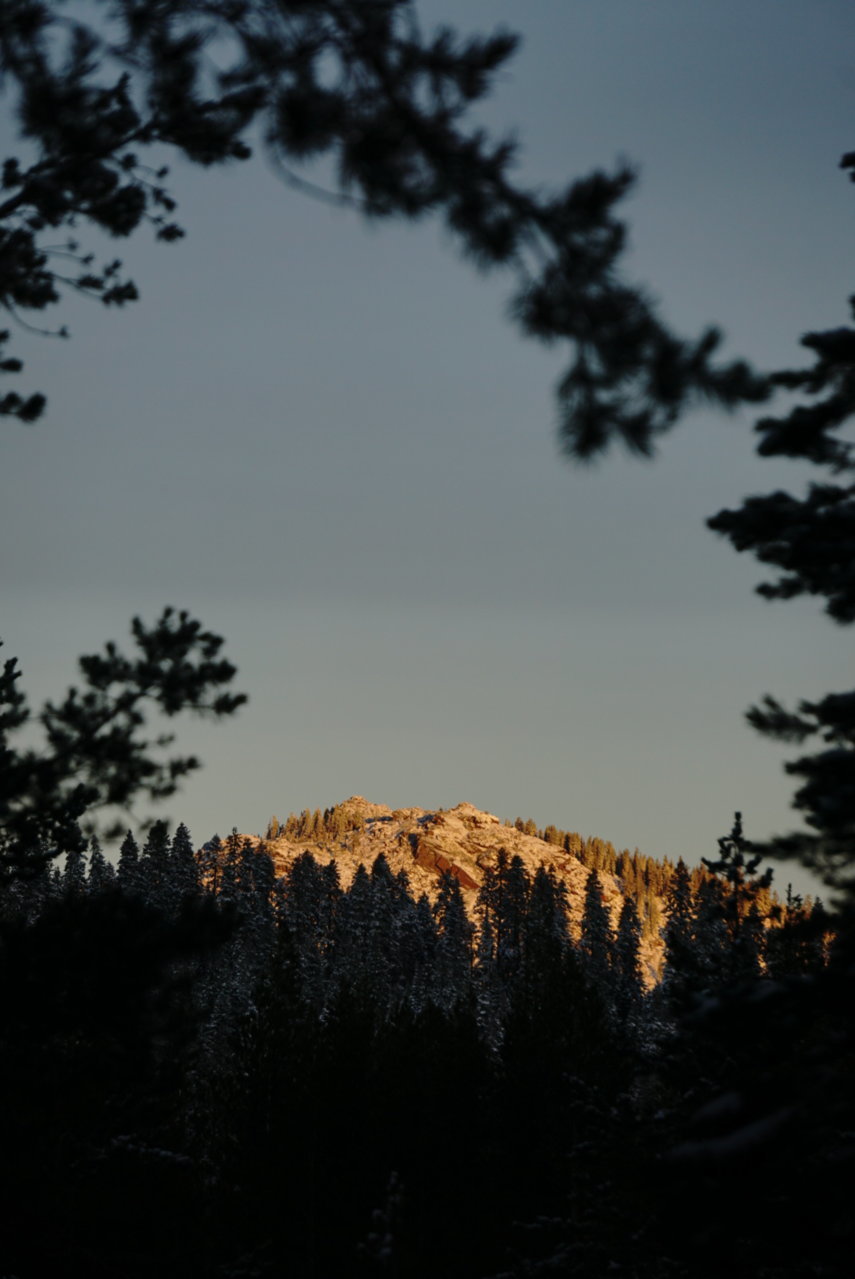 DSC03503.jpg