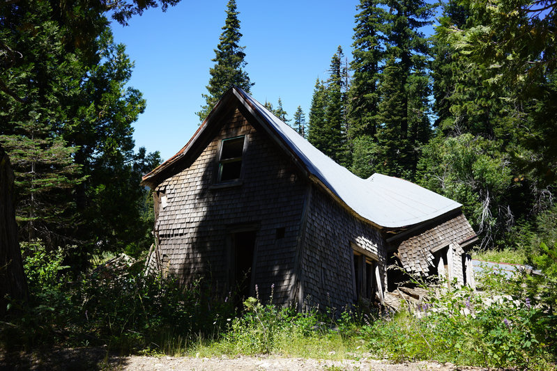 DSC03595.jpg