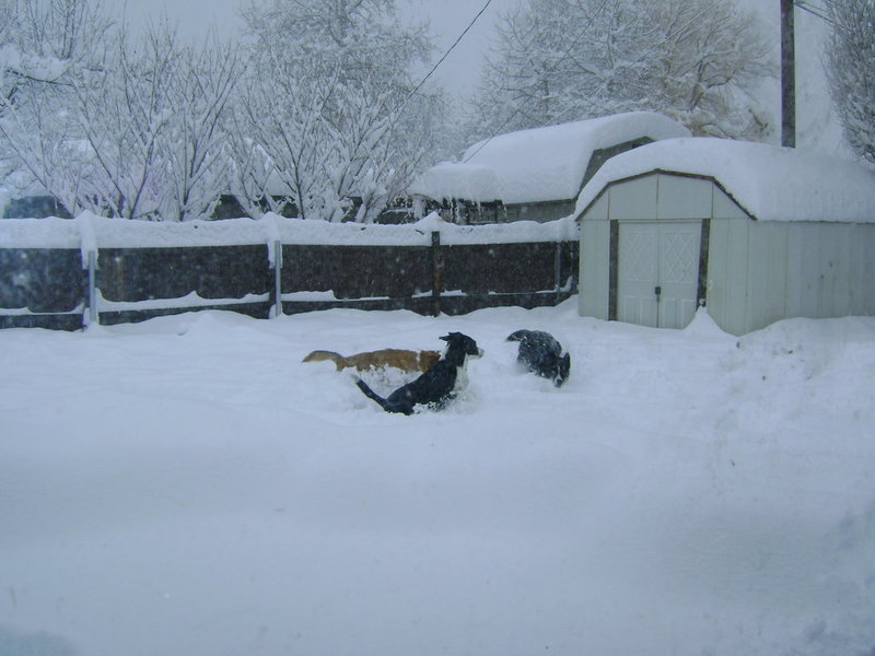 DSC03595.jpg