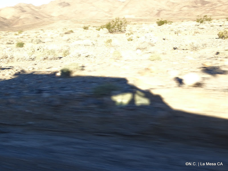DSC03634_006f5e63fc9f48d867803d9715ac9503c30cce86.jpg