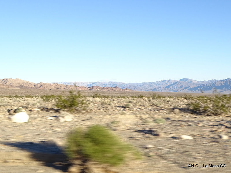 DSC03636_34b3b8a6ecda35494e69207561a6f01fe4e28fc6.jpg