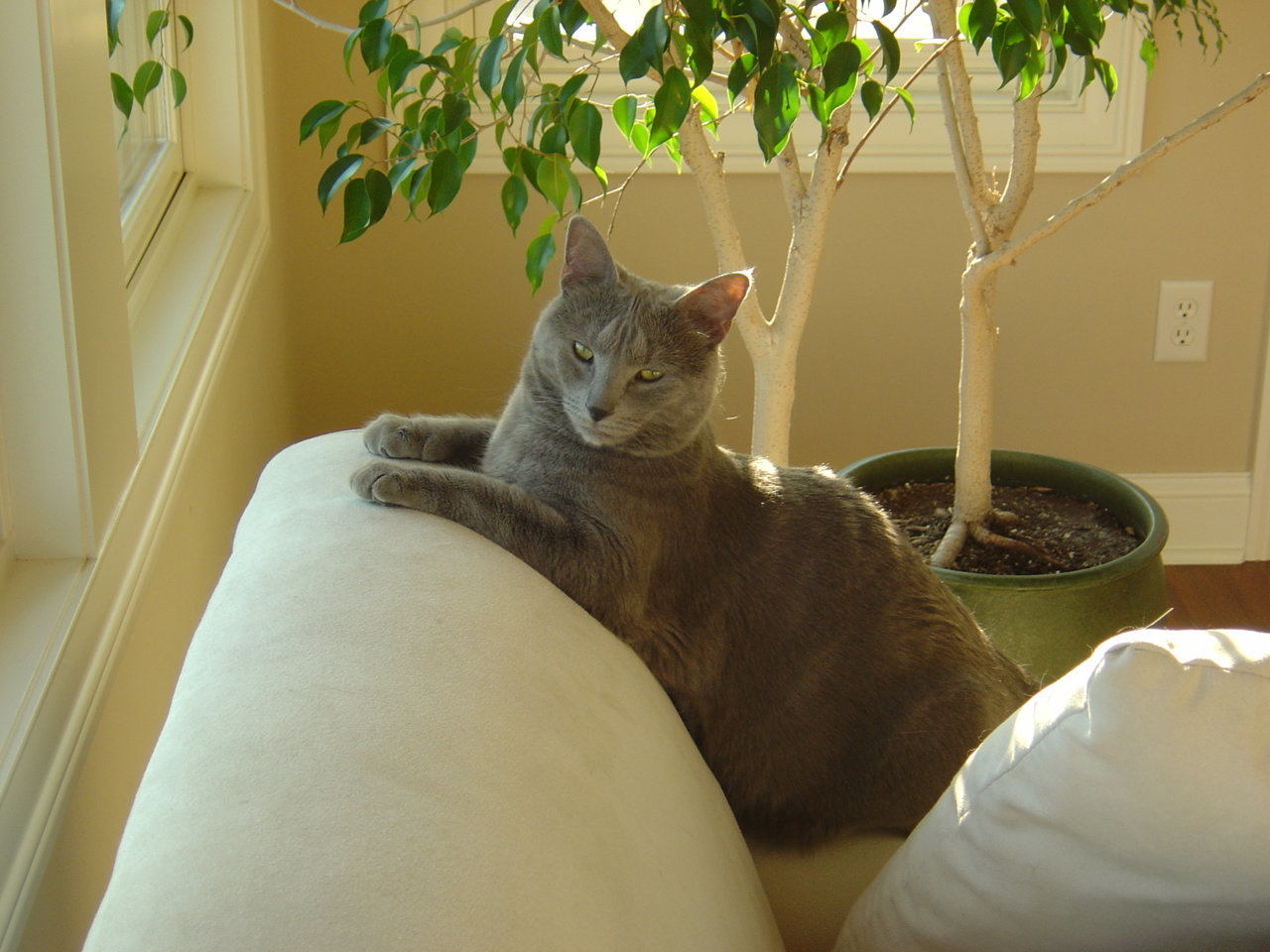 DSC03701.jpg