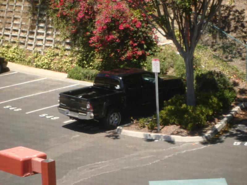 DSC03845.jpg