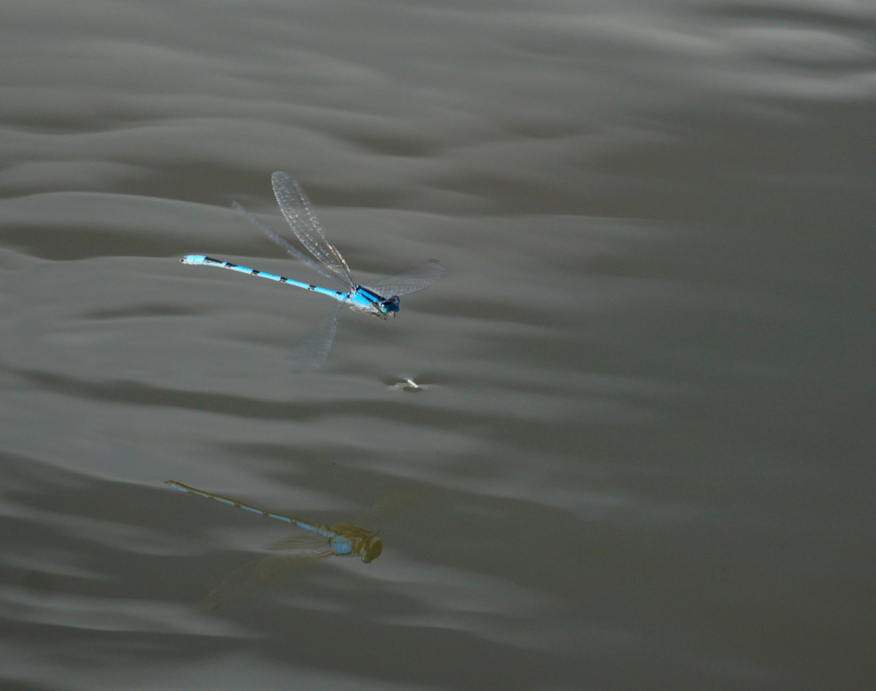 DSC03911.jpg