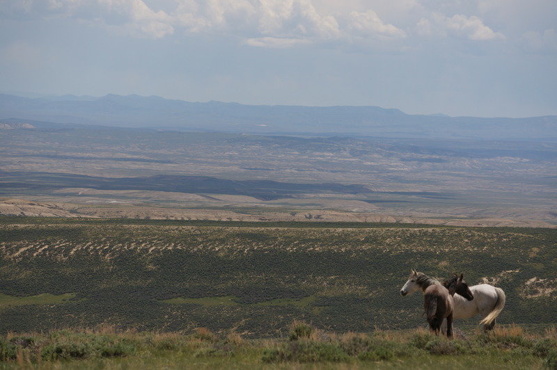 DSC04027_zpshuqw4rfc_496ada60bf08096c774d352e4e496e7c8eb0a857.jpg