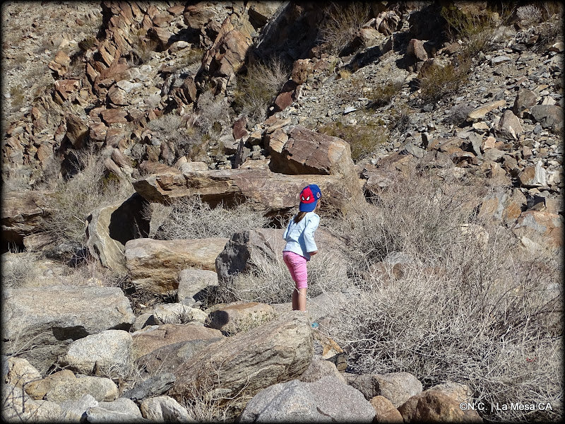 DSC04390_fd2b668c4824f991b3cce6bc0eaf545565f67ab1.jpg