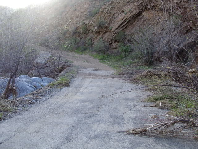 DSC04430_3598c8e516b744c376417c8ed5d7f0a7adaff5ca.jpg