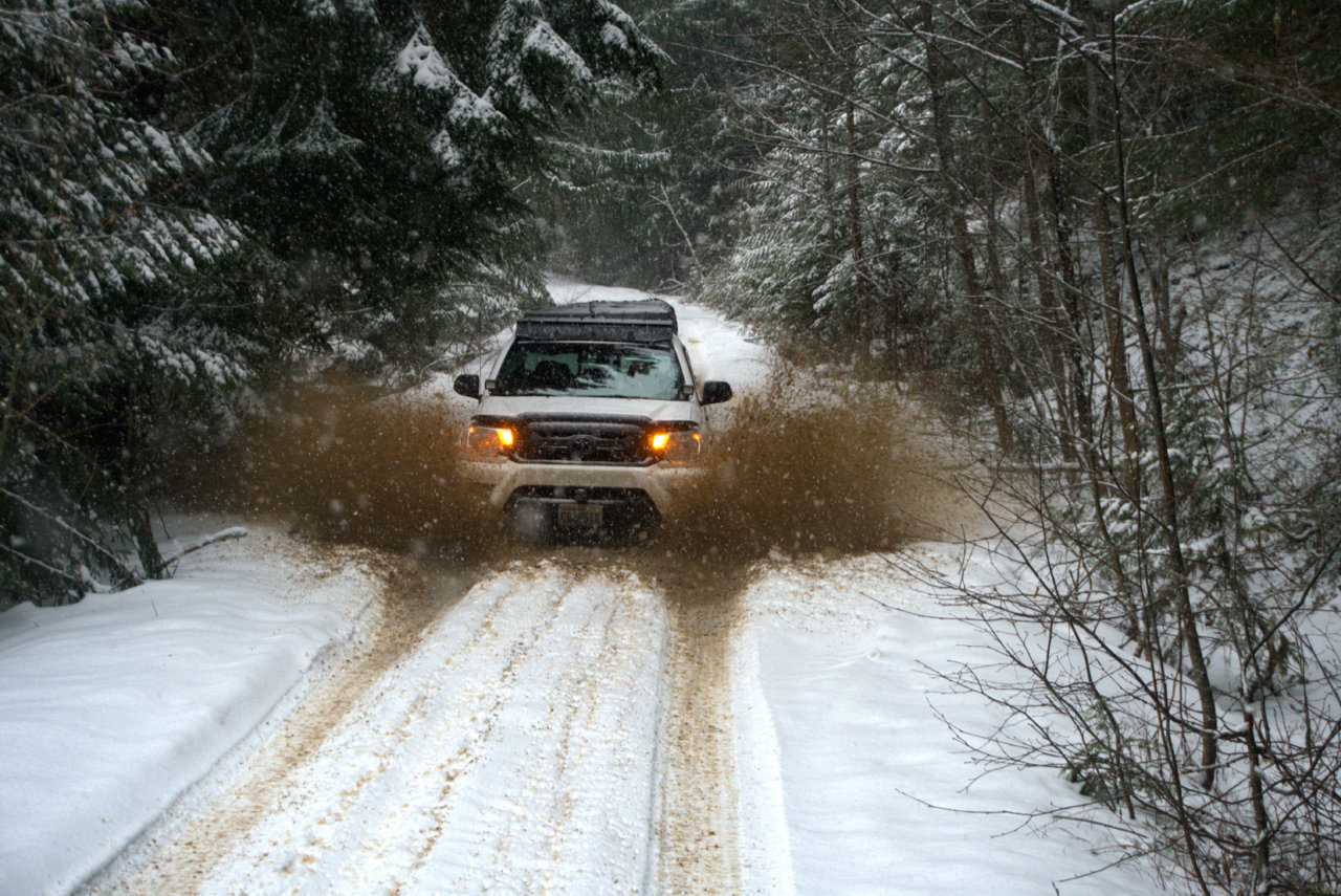 DSC04462[1].jpg