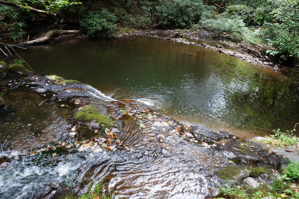 DSC04478_c0956e06b95ea8f579ed56a8560bed0b0b677947.jpg