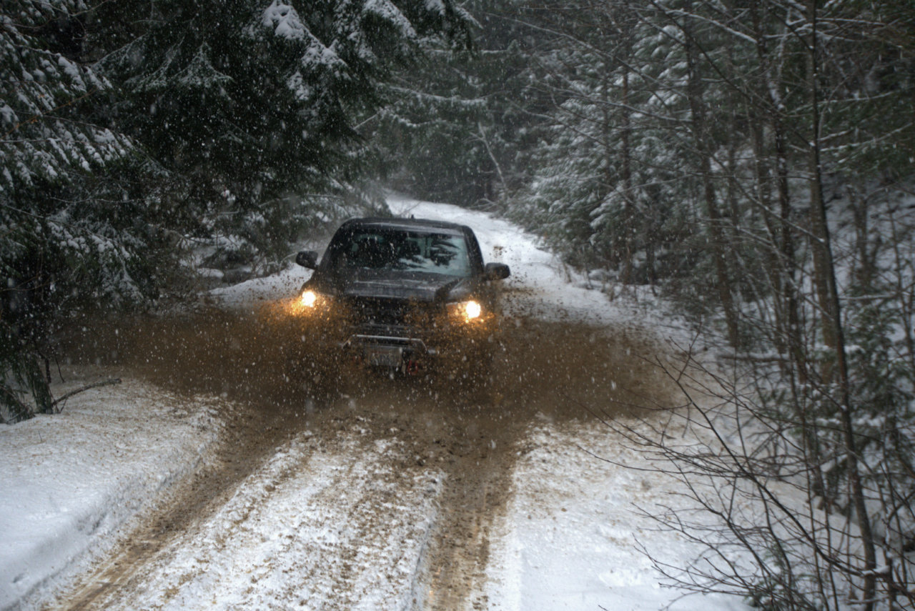 DSC04481[1].jpg