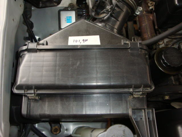 DSC04509.jpg