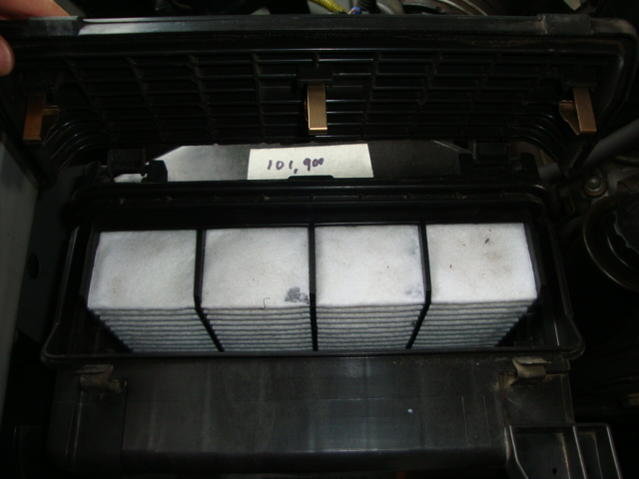 DSC04510.jpg