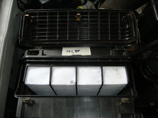 DSC04511.jpg