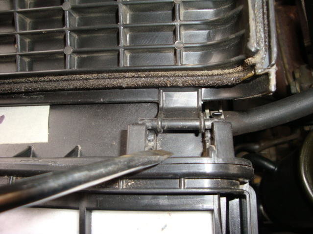 DSC04512.jpg