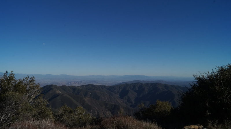 DSC04753.jpg