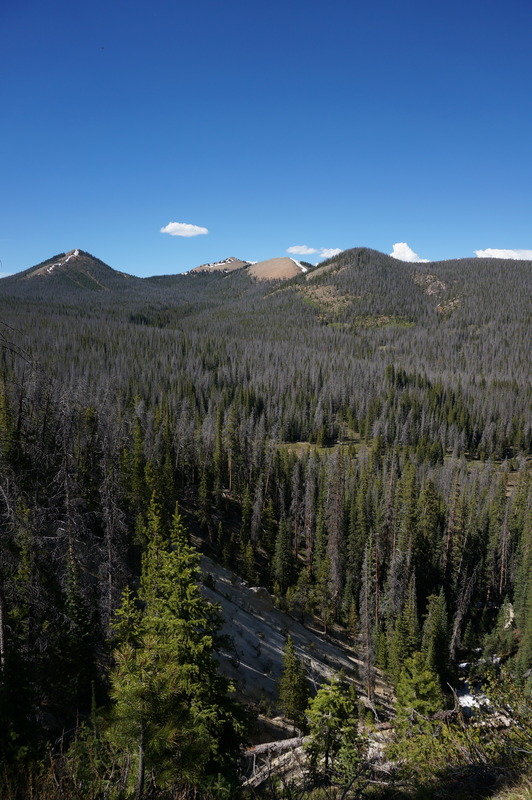 DSC04853_zpsbrwgcqua_c6ba7ee77064174ebbae383f31911ea282242d92.jpg