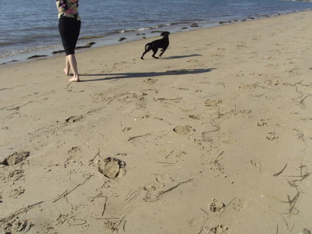 DSC05207_828dc101c68f426fa2c97b92eca2128edbe204ce.jpg