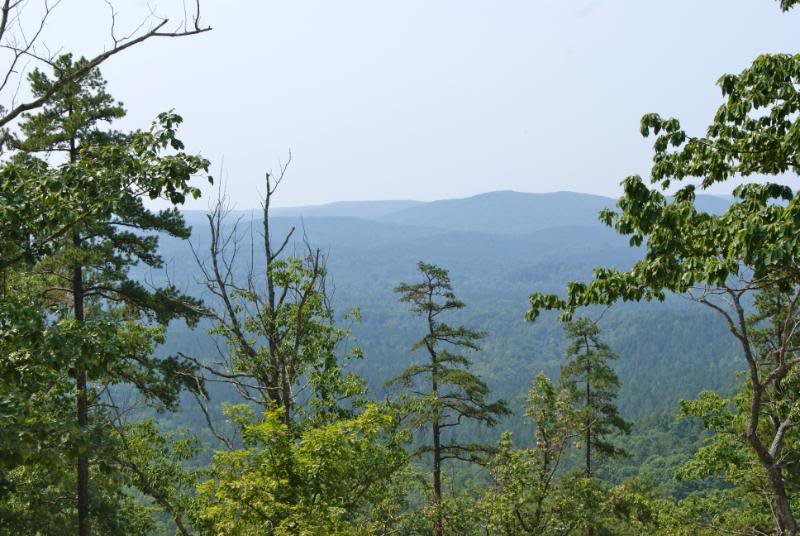 DSC05370_4527a8322b4b5dbceeef376bec6e031d115b95b1.jpg