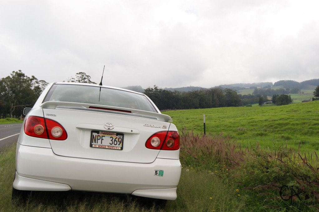 DSC05480_88cab1d171b7e1f80371617973487ad252c298b9.jpg