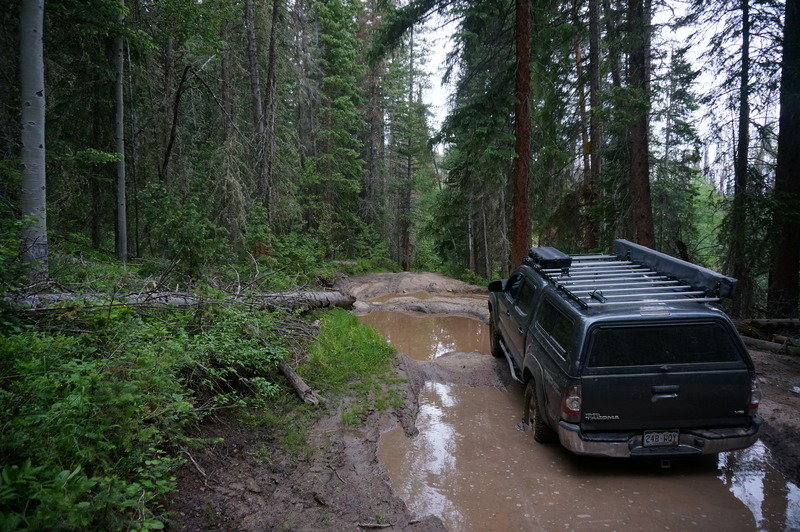 DSC05502_zps2y9mko0t_540870c56bc5df9467a31af2e7bd5aa5c1af7d2e.jpg