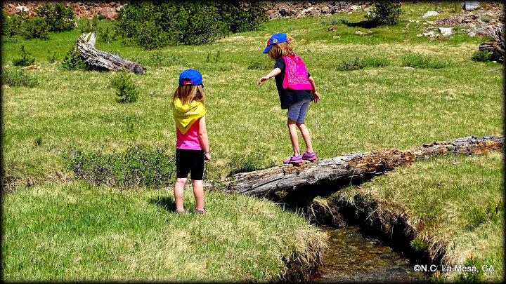 DSC05884_a059c988c6df518aad1f4893993d7f1ed89f1549.jpg