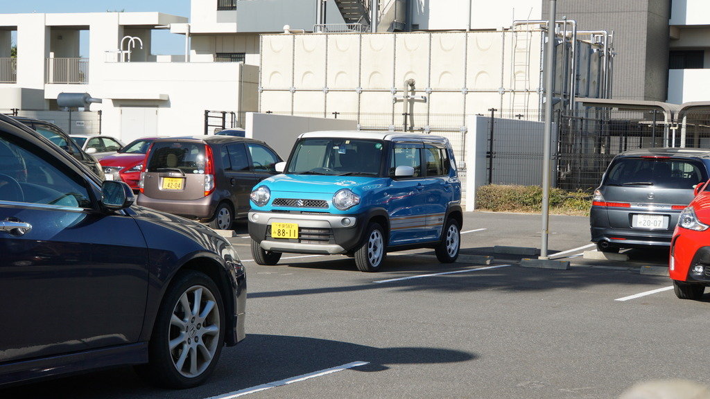 DSC06141_050f7584d67770a17373d86621d05c3e2829d076.jpg