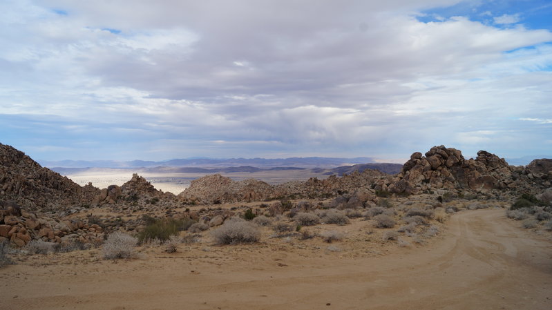 DSC06181.jpg