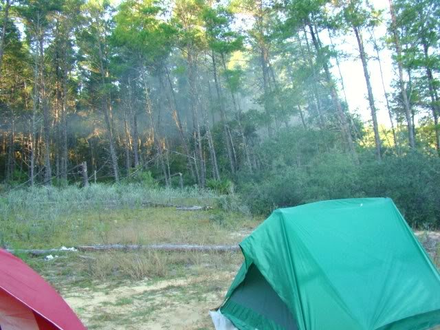 DSC06248_ae986b3218bd5d3bd529fd428c83dcf63da23a4c.jpg