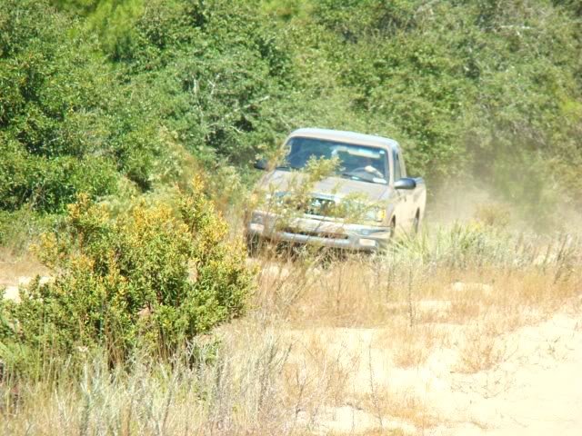 DSC06316_4eecef76294876c86751337354fb84ac05d5f6c1.jpg