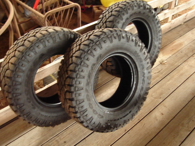DSC06382.jpg