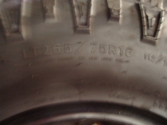 DSC06388.jpg