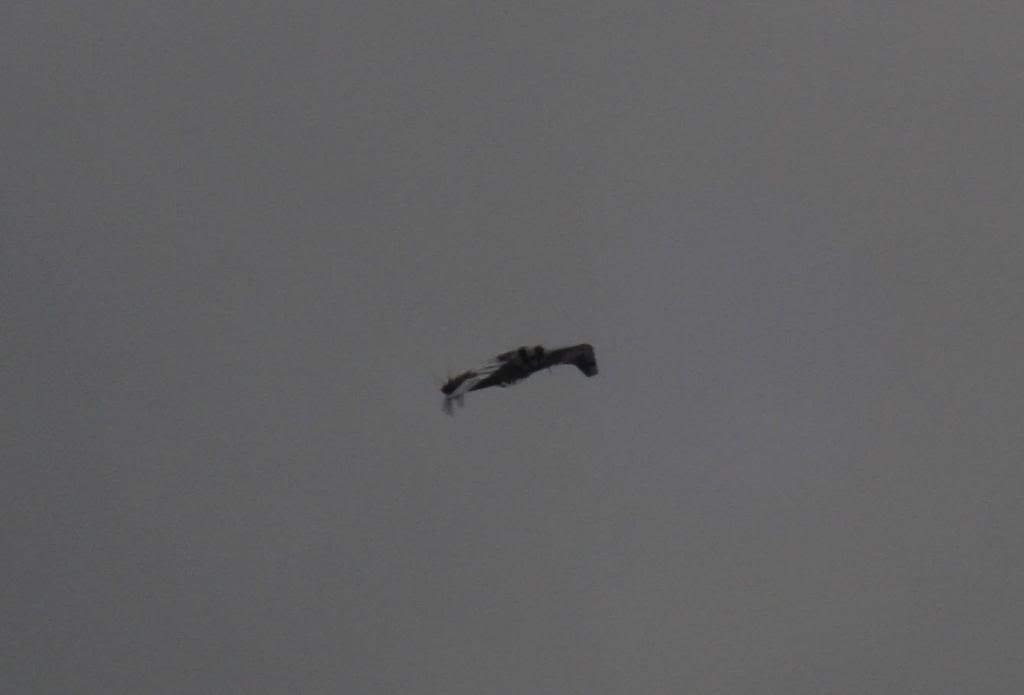 DSC06489_d63a1aa9fc18f5ba2046509282360b7faf28bf6d.jpg