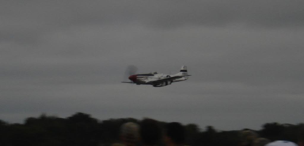 DSC06493_966c97e992521591130e5ad81970d9d60f277542.jpg