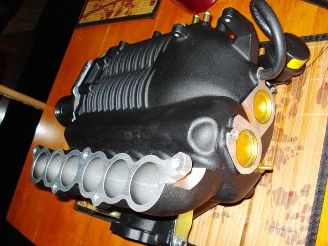 DSC06544_48135a5e825edc3da6875dbd0e2d0d3b49daf1af.jpg