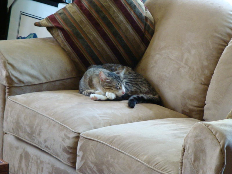 DSC06916.jpg
