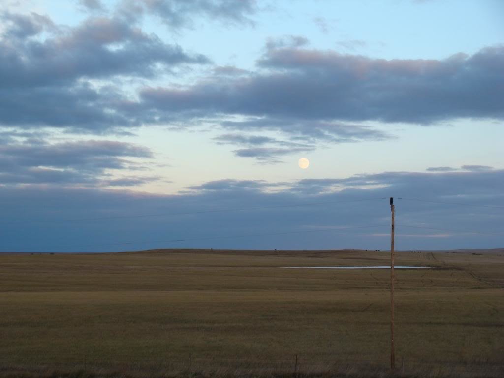 DSC06967_1dc54f1e2aa8580531e6a1deedbc28b0bebf3b6f.jpg