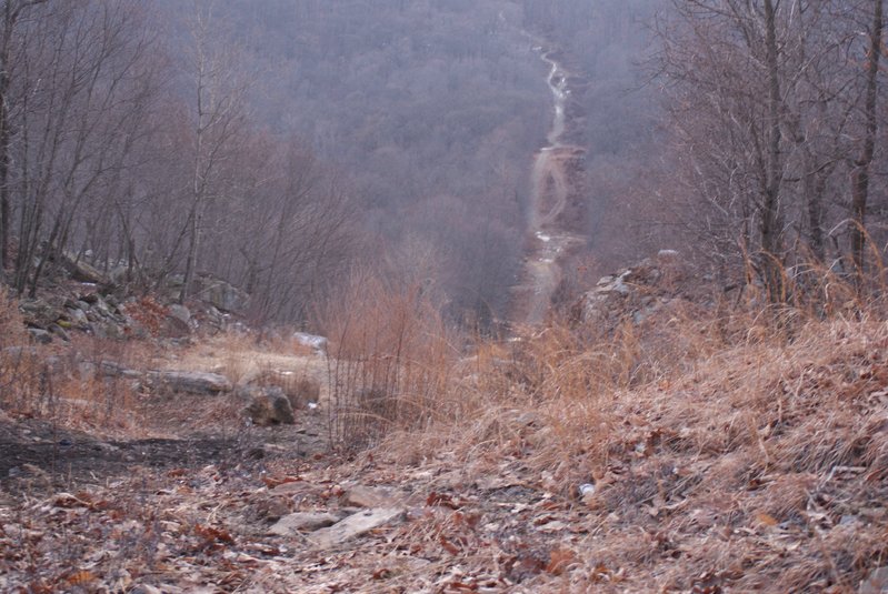 DSC07134.jpg