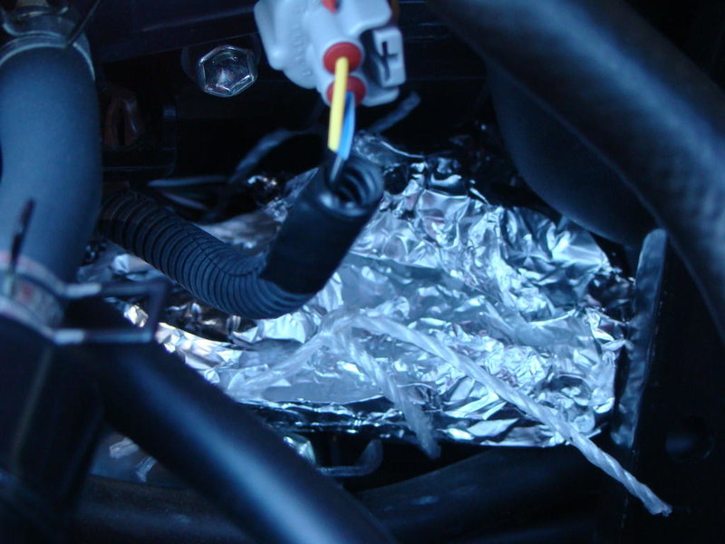 DSC07174[1].jpg