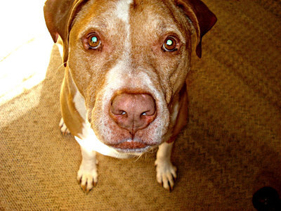 DSC07255_126dc4ca43b7e89ed5a7a92a6a7c80e6532cc8f6.jpg